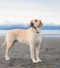 Görsel Bulunamadı!